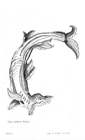 Tab B7