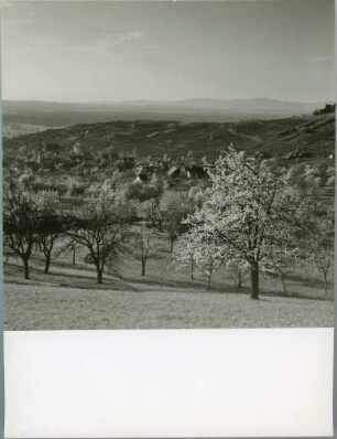 Ebringen