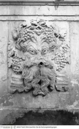 Brunnen für Karl V., Wappen sowie ornamentaler und florealer Dekoration