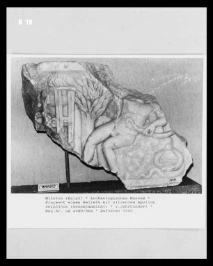 Relief mit Apollon Delphinos