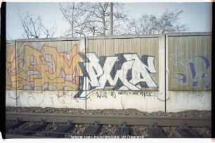 PMA