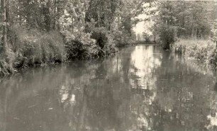 Spreekanal in Lehde im Spreewald : Sprjewiny kanal na Lědach