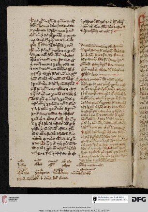 Ps.-Augustinus, De duodecim abusionum gradibus