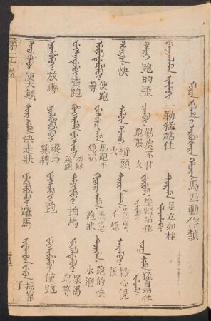 Morin ulha i arbušara hacin = 馬匹動作類