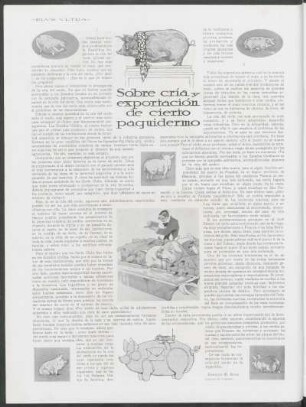 Sobre cría y exportación de cierto paquidermo : Dibujos de Riambau.