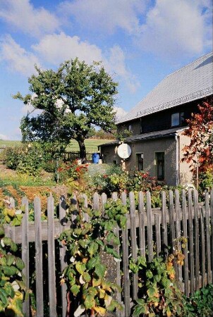 Blick über einen Staketenzaun auf einen Garten