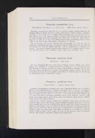 Phaseolus calcaratus Roxb. : Reisbohne.