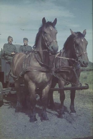 Zweiter Weltkrieg. Sowjetunion. Kampfpausen. Zwei Wehrmachtsangehörige auf einem Pferdefuhrwerk