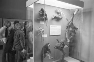 Ausstellung "Ursprung des Menschen" im Museum am Friedrichsplatz (Naturkundemuseum)