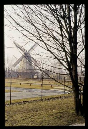 Mühle Buckow 2.3.85.