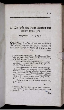 2.Der grün und blaue Guit-Guit m. weißer Kehle.