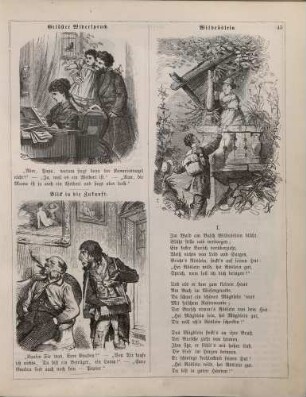 "Gelöster Widerspruch" "Blick in die Zukunft" "Wildröslein"