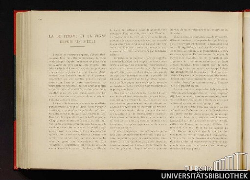 La betterave et la vigne depuis un siècle