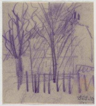 [o.T.]. Bäume (Stadtlandschaft)