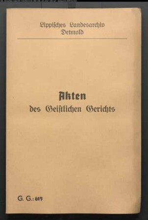 Fatthauer zu Tintrup und seine älteste Tochter Anna Hedwig gegen Johann Hermann Brunsiek auf Brunsieks Hof bei Tintrup, wegen einer Eheklage; Stiefgroßvater des Brunsiek war Hans Hermann Platena zu Istrup; Zur Verwandtschaft gehören Voigtingmeyer, Mische, Krugküster