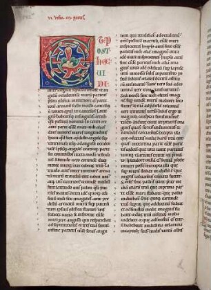 Zierinitiale und Zierschrift (Pars III, Visio sexta): E(T POST HEC VIDI)