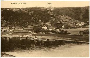Diesbar. Blick auf Diesbar - Elbe mit Dampfer