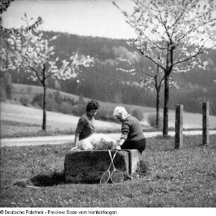 Sebnitz (mit Königs)
