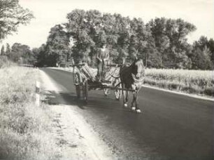 Pferdegespann in der Niederlausitz : Transport und Kommunikation - Gespann. Ort: Delnja Łužica / Niederlausitz. Pferdegespann bei der Ernte