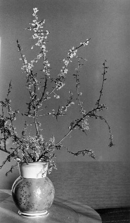 Blumen und Blüten in diversen Vasen. Vase mit blühenden Zweigen