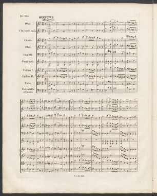 Menuetto. Allegretto
