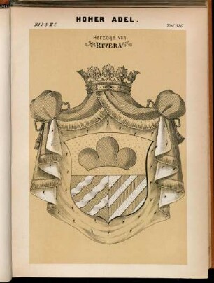 Taf. 320. Herzöge von Rivera