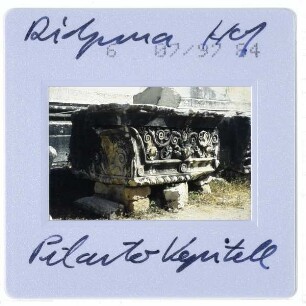Didim, Didyma : Hof, Pilasterkapitell