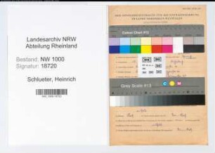 Entnazifizierung Heinrich Schlueter, geb. 18.02.1911 ()