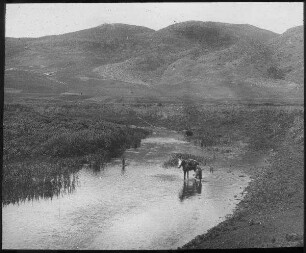 Karmel / muhraka u. Kison [Kishon], Kison u. Karmel (muhraka)