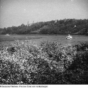 Elbe im Raum Dresden; Elbe Baumblüte Loschwitz