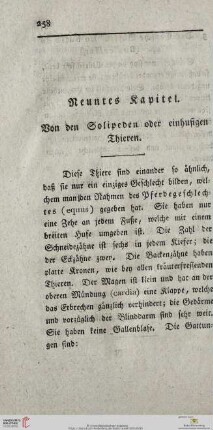Neuntes Kapitel