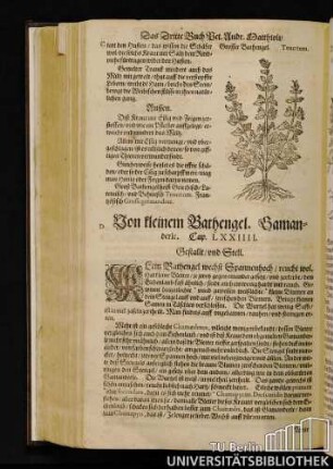 Cap. LXXIIII. Von kleinem Bathengel, Samanderle.
