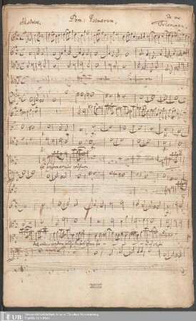 Ms. Ff. Mus. 1000 - Dom: Palmarum