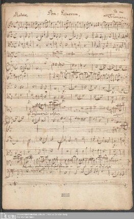 Ms. Ff. Mus. 1000 - Dom: Palmarum