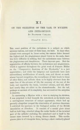 XI. On the skeleton of the tail in myxine and petromyzon. By Professor Cleland