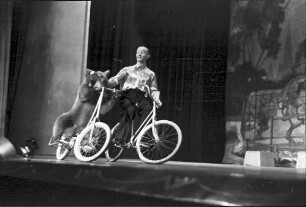 Wintergarten: Edith Crockers Teddybären fahren Rad
