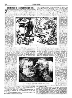Politische Satire in der altnierderländischen Kunst : [Beilage zur "Arbeiter-Jugend"]