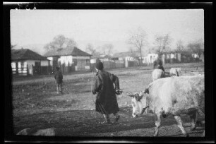 Odobești (=Rumänien): Rumäne mit Vieh am Strick vor einem weiten unbefestigten Platz, im Hintergrund Wohnhäuser (Rückansicht)