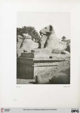 21: Die Widdersphinxe von Karnak