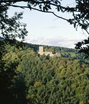 Burg Landeck