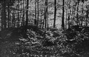 Hügelgräber im Langel
