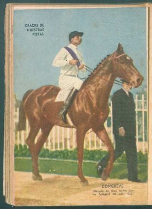 Cracks de nuestras pistas: Congreve (ganador del Gran Premio Carlos Pellegrini del año 1928) - [Fotografía]