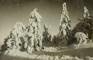Erzgebirge im Winter. Raufrost am Kahleberg