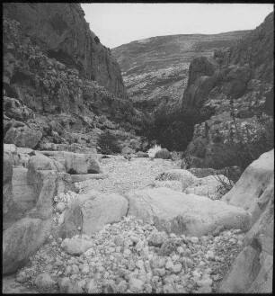 Wadi fara v. W.. Frühj. 1908 Reym.