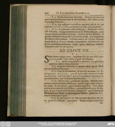 Ad Caput VII.