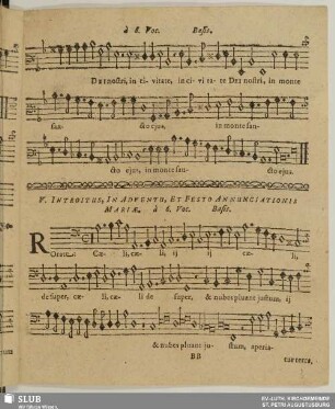 V. Rorate