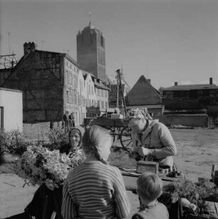 Stralsund. Apollonienmarkt, im Hintergrund Turm der St.-Jakobi-Kirche