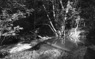Triebischtal-Roitzschen. Neidmühle, Wehr