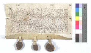 Lehensbrief des Abts von Maulbronn für den Prior und Konvent des Heiligen Grabs in Speyer um die Ganzenmühle.