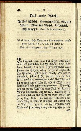 Das große Wiesel.